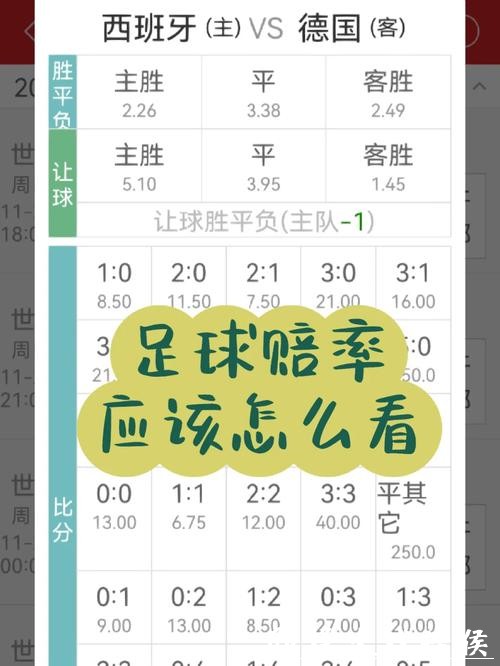 世界杯投注：新手教程教你入门赔率分析